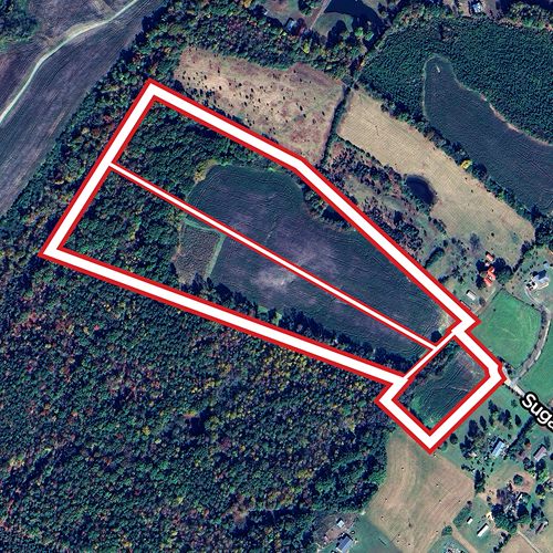 Sugar Hill - Website Graphic