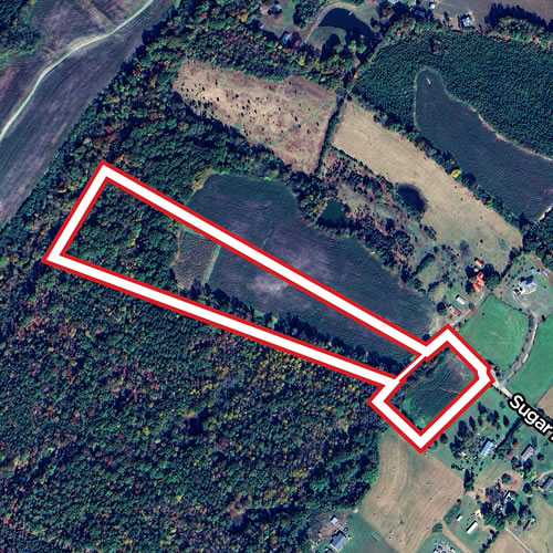 Sugar Hill - Website Graphic 3